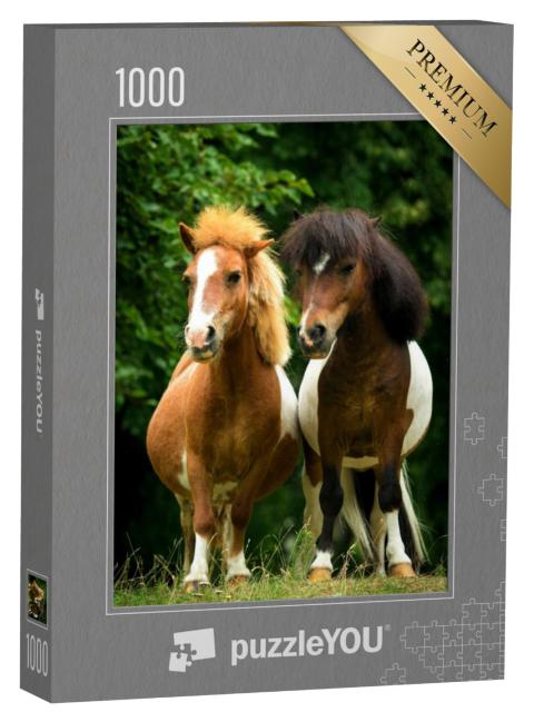 Puzzel 1000 stukjes „Twee kleine paint pony's in de wei“