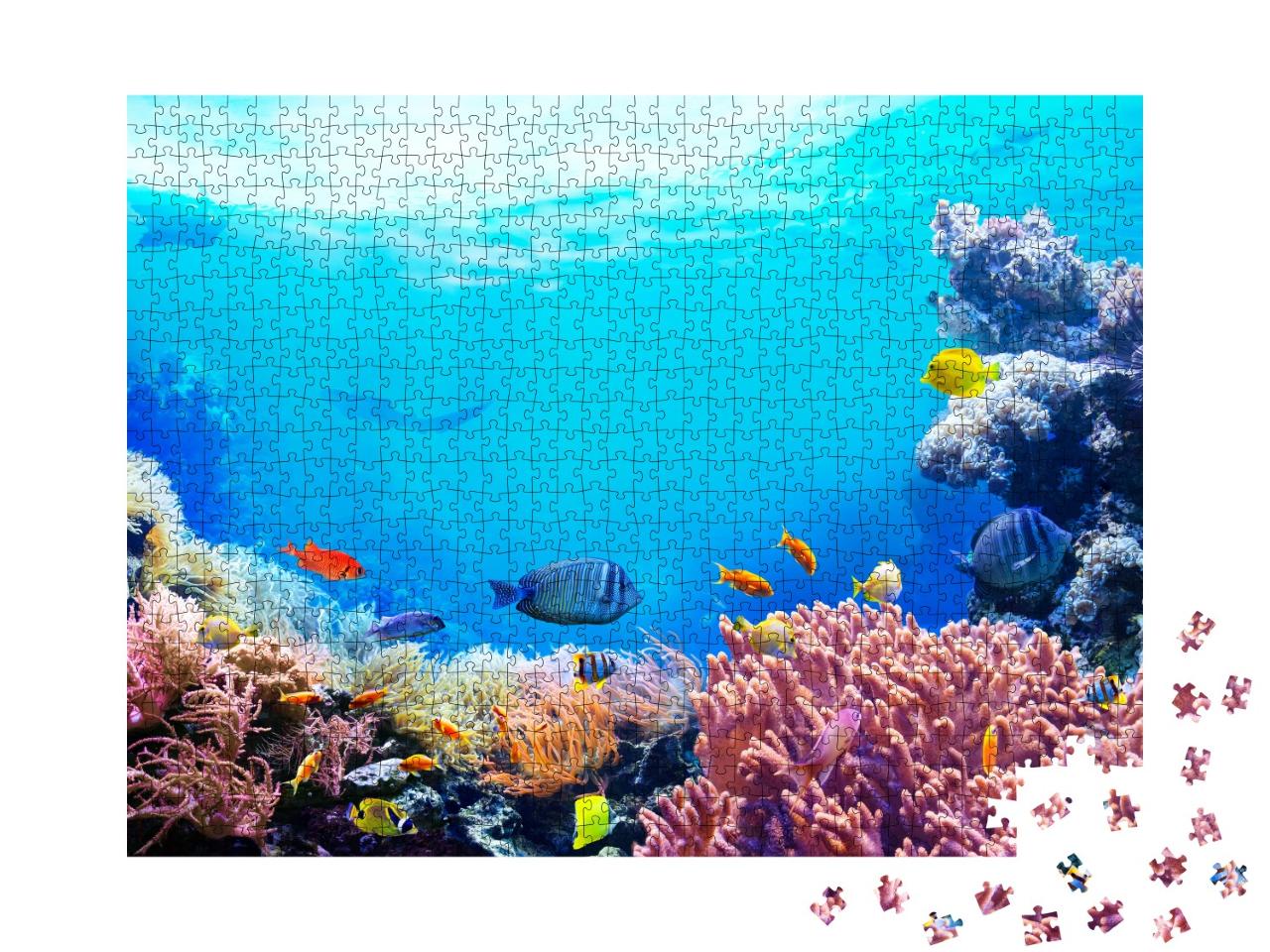 Puzzle 1000 Teile „Das Leben im Korallenriff“