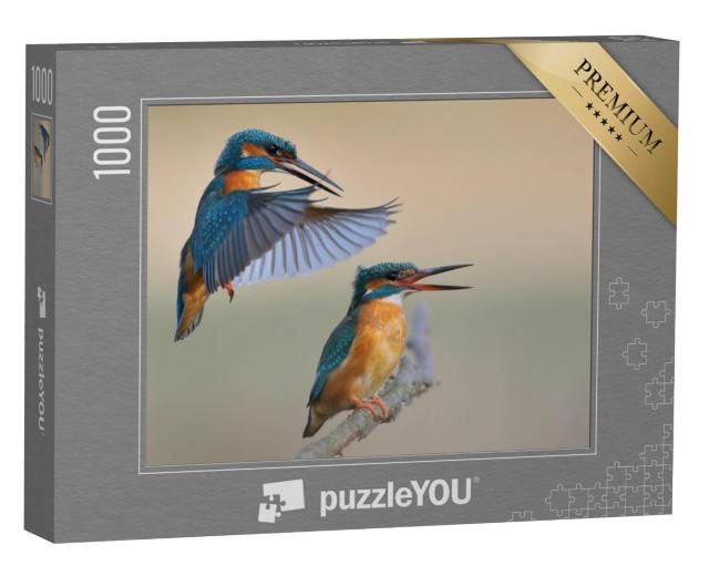 Puzzel 1000 stukjes „IJsvogel“