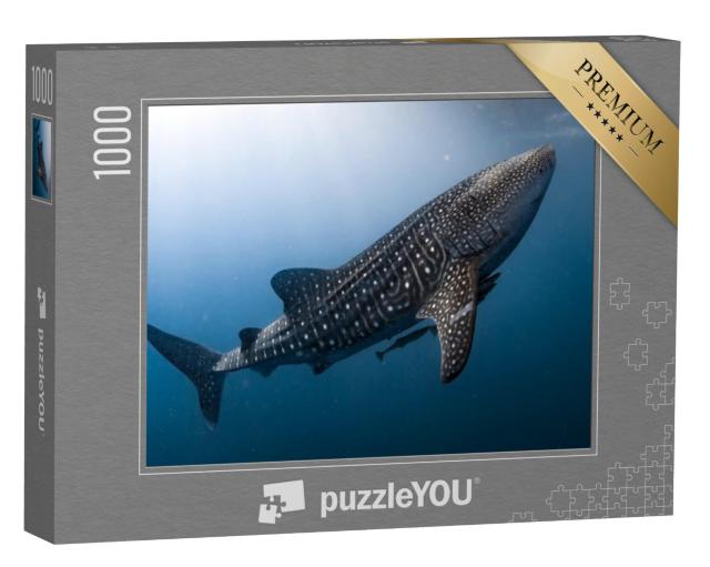 Puzzel 1000 stukjes „Walvishaai in Papoea“