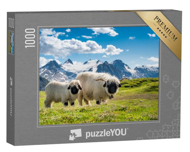 Puzzel 1000 stukjes „Walliser zwartneusschapen op de Nufenenpas in Wallis“