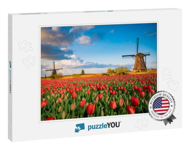 Beautiful Dutch Scenery with Traditional Windmills & Tuli... Jigsaw Puzzle
