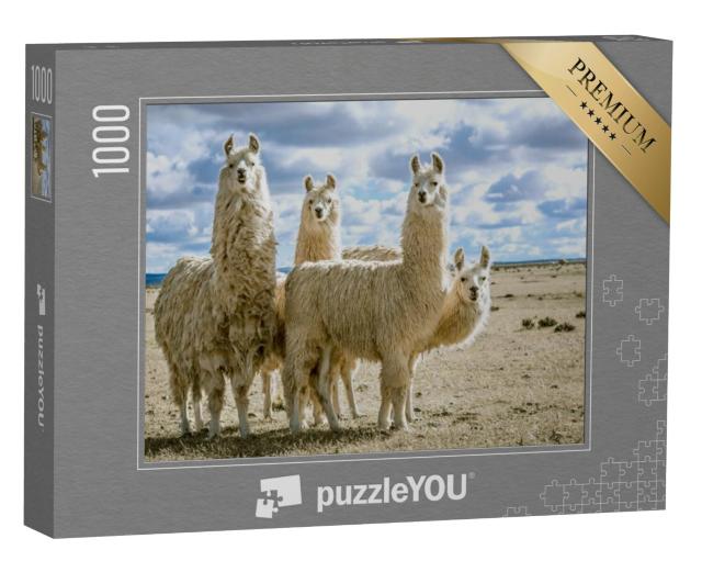 Puzzel 1000 stukjes „Lama groep in hun natuurlijke omgeving“