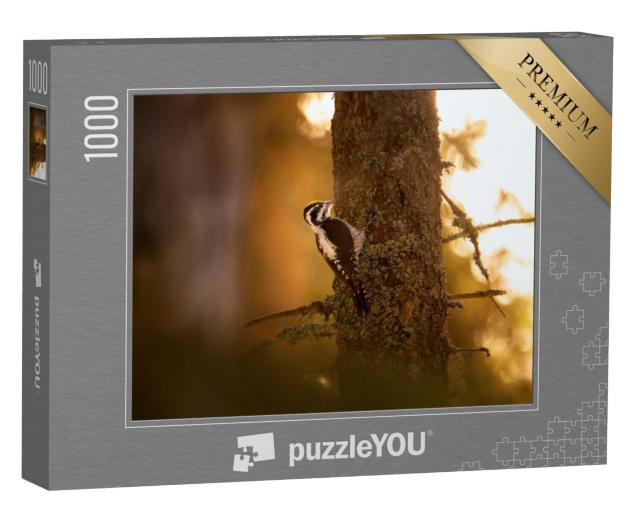 Puzzel 1000 stukjes „Drieteenspecht op zoek naar voedsel“