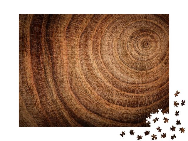 Puzzle 1000 Teile „Stumpf einer gefällten Eiche: Stamm mit Jahresringen“