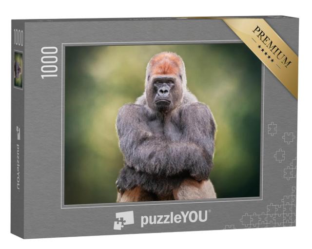 Puzzel 1000 stukjes „Portret van een zilverruggorilla die zijn handen kruist“