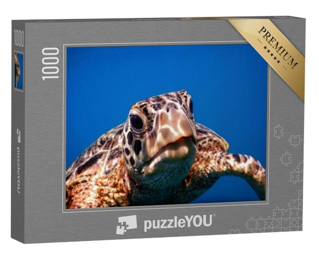 Puzzel 1000 stukjes „Een groene zeeschildpad op Savaii“