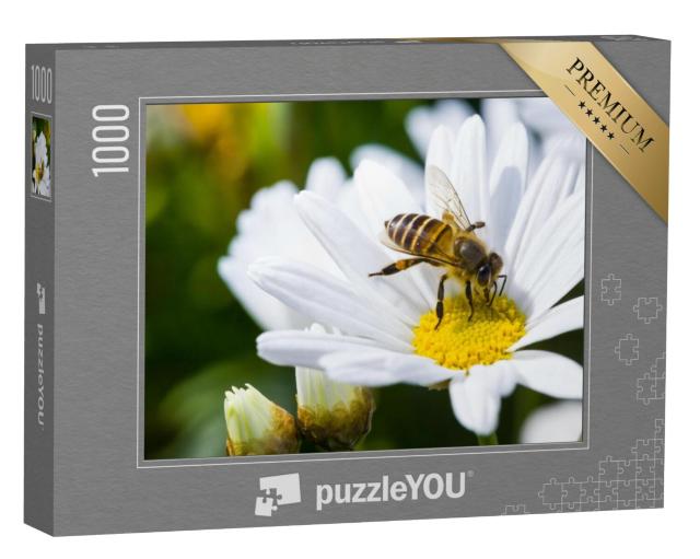 Puzzel 1000 stukjes „Madeliefjes en bijen in de lente“