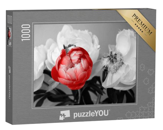 Puzzel 1000 stukjes „Rode pioen“