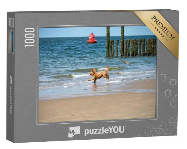 Puzzel 1000 stukjes „Hond geniet van het koude water van de Noordzee op het zandstrand bij Zoutelande, Zeeland“