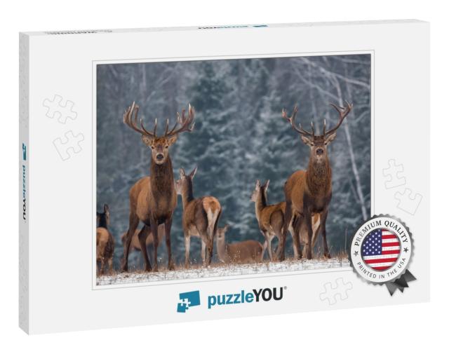 Twins. Winter Wildlife Landscape with Two Noble Deer Cerv... Jigsaw Puzzle