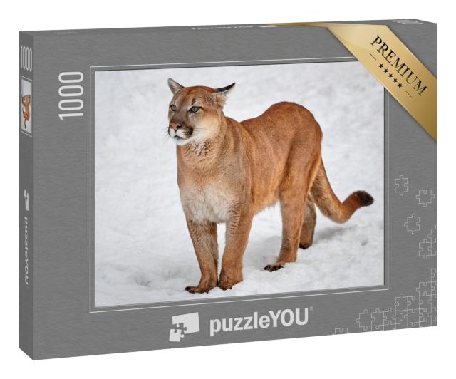 Puzzle „Puma als Wildkatze im Schnee“