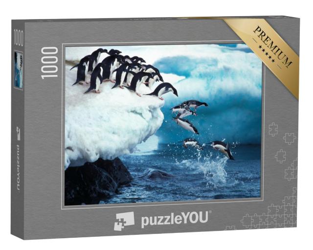 Puzzel 1000 stukjes „Een adéliepinguïn springt in zee, Antarctica“