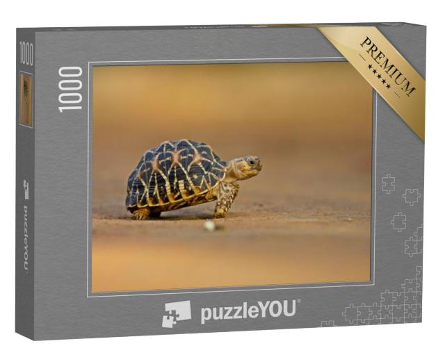 Puzzel 1000 stukjes „Indische sterschildpad“