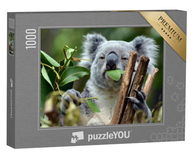 Puzzel 1000 stukjes „Koala in het Lone Pine Koala Reservaat in Brisbane“