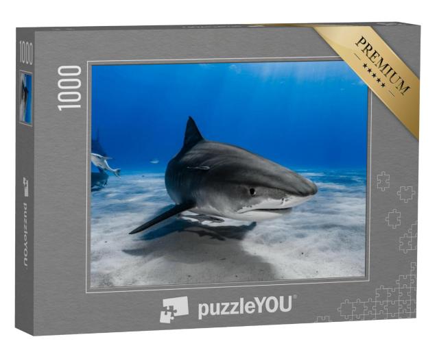 Puzzel 1000 stukjes „Tijgerhaai zwemt over het rif“