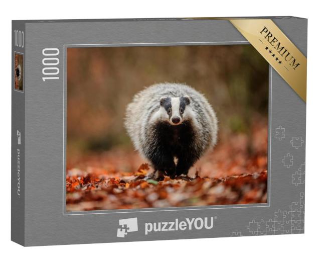 Puzzel 1000 stukjes „Das in het bos“