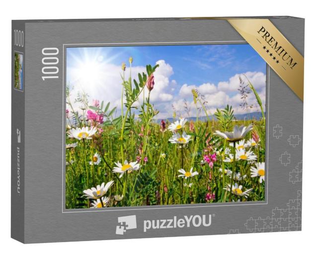 Puzzel 1000 stukjes „Bloemenweide in de zomer met madeliefjes“