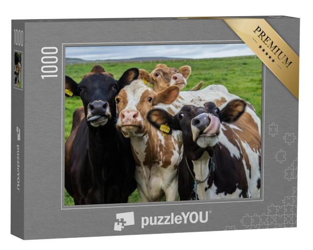 Puzzel 1000 stukjes „Vier koeien kijken in de camera“