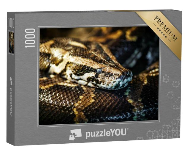 Puzzel 1000 stukjes „Netpython, ook bekend als koningspython of balpython“