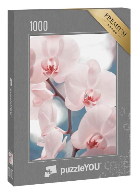 Puzzle 1000 Teile „Zartrosa Phalaenopsis-Orchidee“