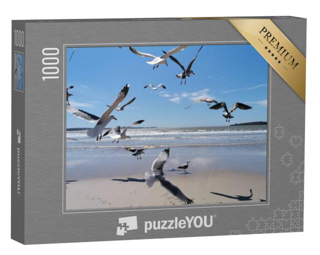 Puzzel 1000 stukjes „Zeemeeuwen aan de Marokkaanse zee“