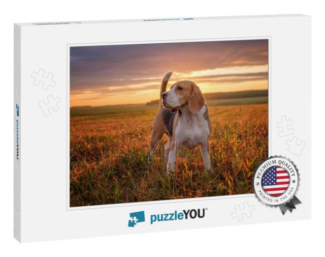 Portrait of a Beagle Dog on the Background of a Beautiful... Jigsaw Puzzle