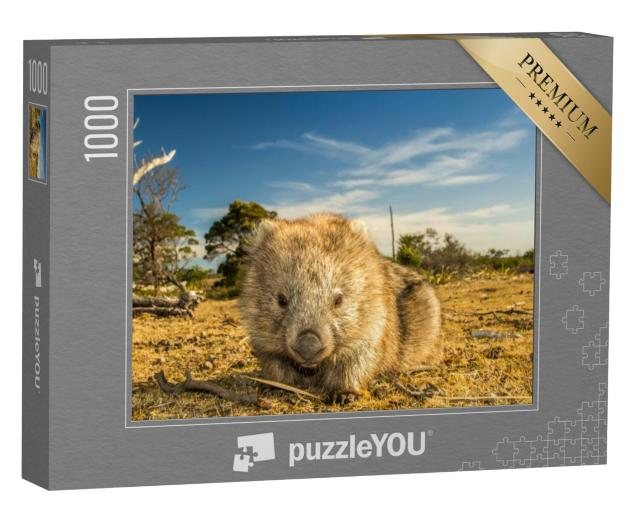 Puzzel 1000 stukjes „Close-up van een wombat, inheems in Tasmanië“