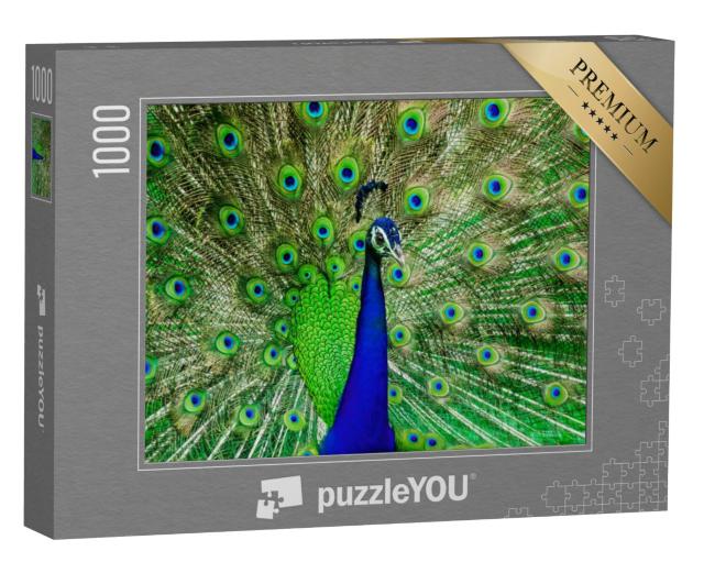 Puzzel 1000 stukjes „De kleuren van een pauw in het wild“