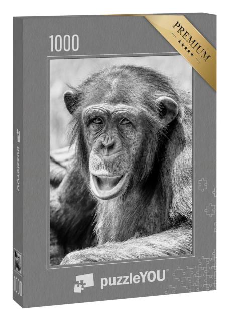 Puzzle 1000 Teile „Afrikanischer Schimpanse Porträt“