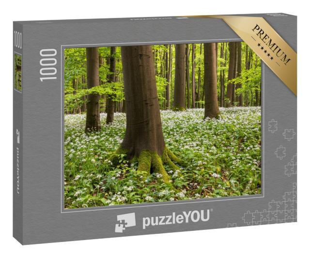 Puzzle 1000 Teile „Bärlauchblüte im Nationalpark Hainich, Thüringen“