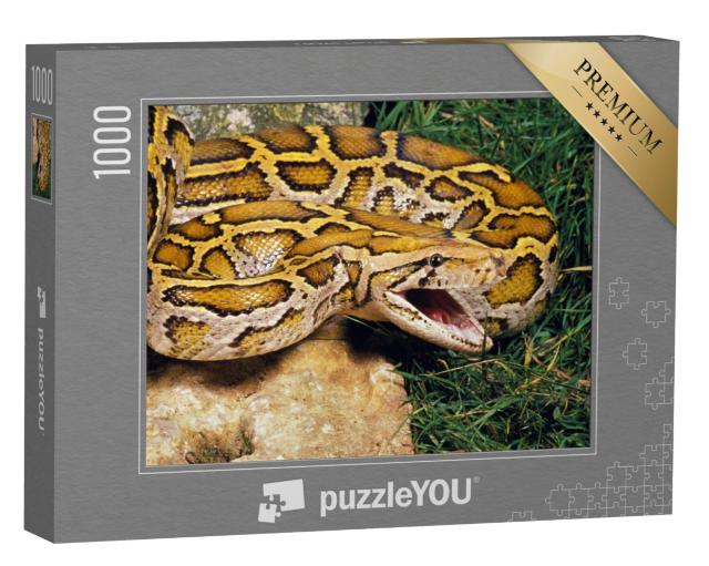 Puzzel 1000 stukjes „Indische python“