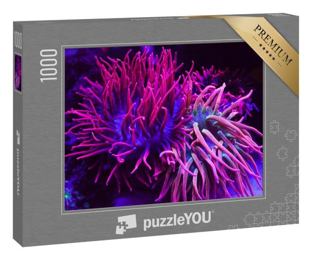 Puzzle 1000 Teile „Strahlend violette Korallen in einem Meeresaquarium“