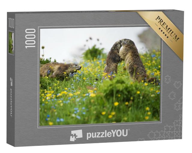 Puzzel 1000 stukjes „Scène van een herkenningsritueel voor marmotten“