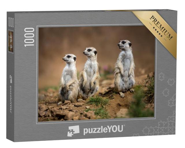 Puzzel 1000 stukjes „Waakzame stokstaartjes“