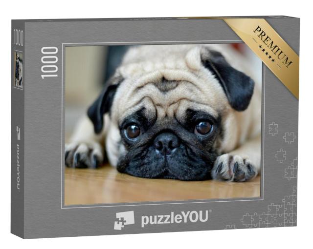 Puzzel 1000 stukjes „Mopshond met een vertrouwende blik“