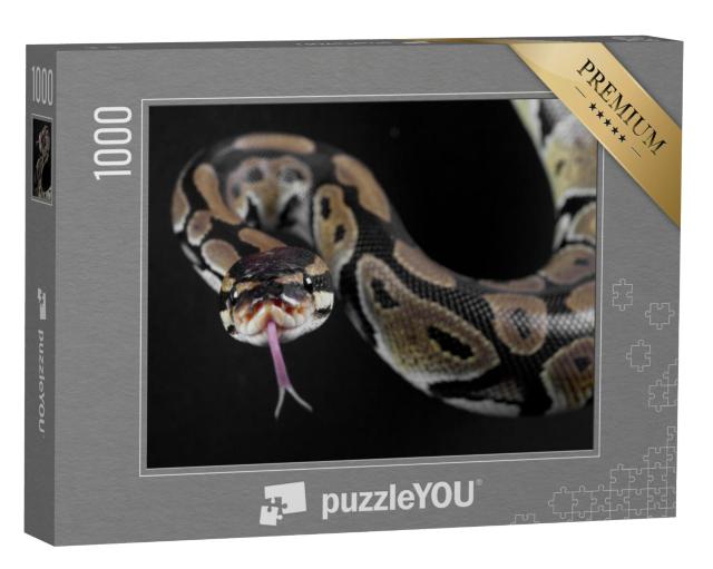 Puzzel 1000 stukjes „Pythonslang met uitgestoken tong“