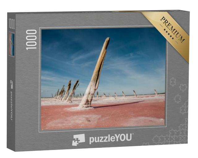 Puzzel 1000 stukjes „Salinas Grande, La Pampa, Argentinië“