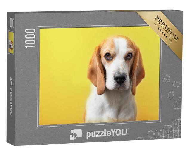 Puzzel 1000 stukjes „Portret van een beagle“