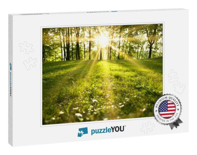 Sunlight in the Green Forest, Spring Time... Jigsaw Puzzle