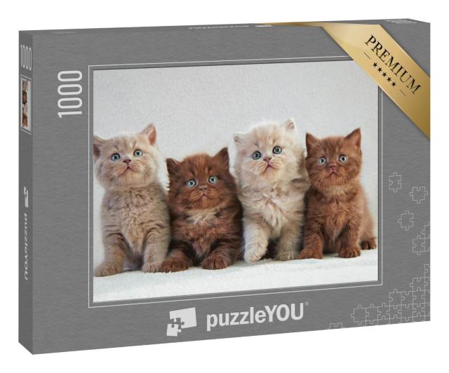 Puzzle 100 Teile „Vier britische Kätzchen, bunte Farben“