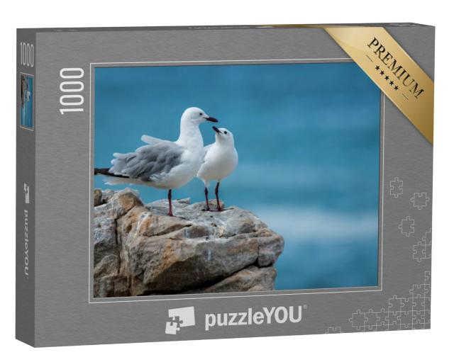 Puzzel 1000 stukjes „Paar meeuwen op de rotskust van de Indische Oceaan“