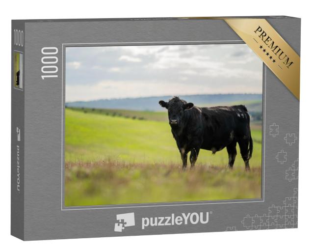 Puzzel 1000 stukjes „Zwart vee op een weide in Australië“