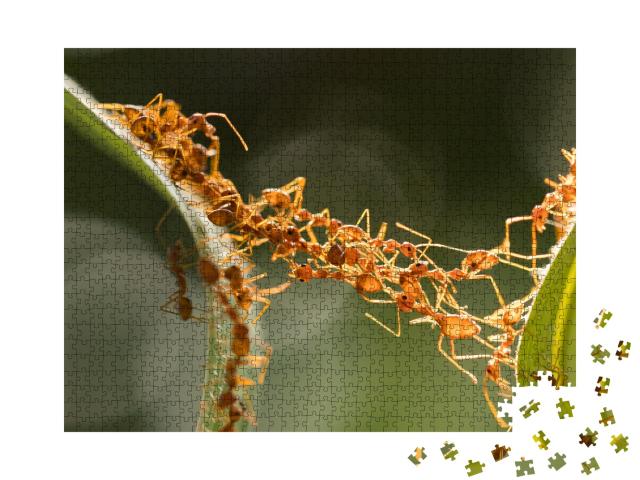 Puzzle 1000 Teile „Ameisen-Brücken-Einheitsteam“