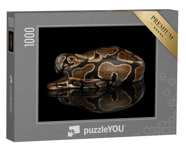 Puzzel 1000 stukjes „Close-up van een koningspython“