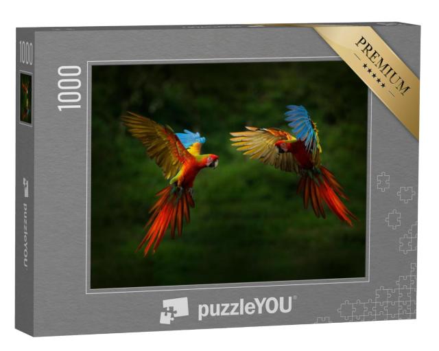 Puzzel 1000 stukjes „Vliegende papegaaien“