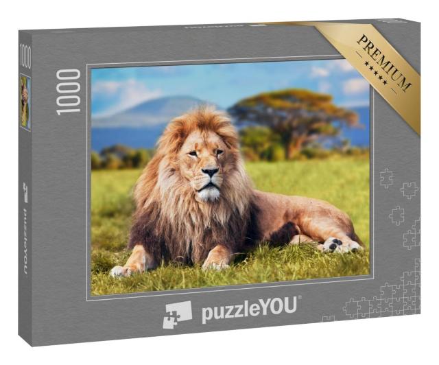 Puzzle 1000 Teile „Großer Löwe im Savannengras“
