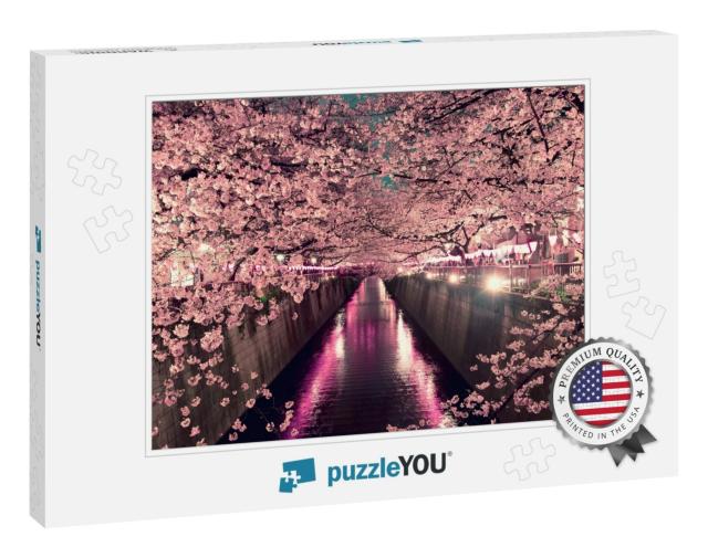Cherry Blossoms At Night in Tokyo... Jigsaw Puzzle
