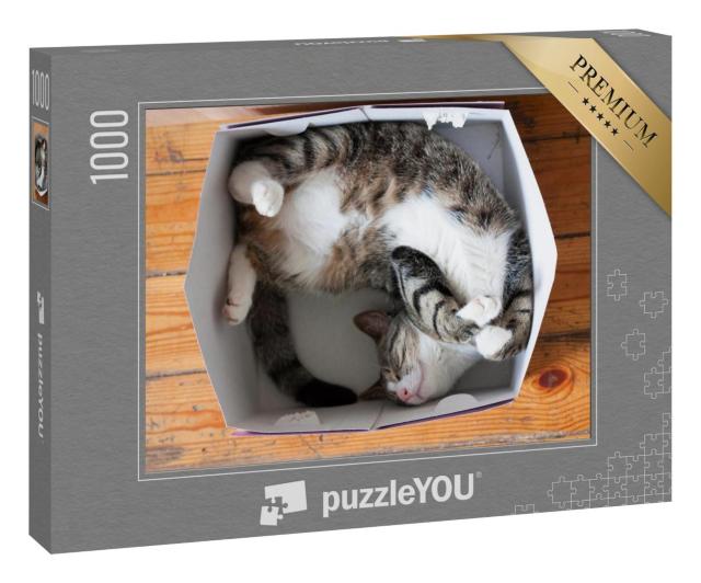 Puzzle 100 Teile „Gestreifte schlafende Katze, Pappschachtel als Bett“