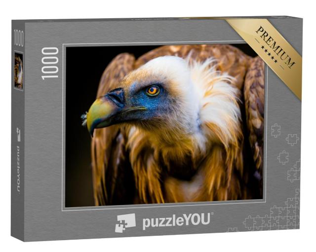 Puzzel 1000 stukjes „Portret van een jonge gier“